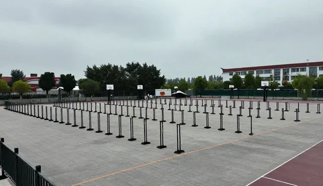 企业信息展示服务如何影响性能优化决策